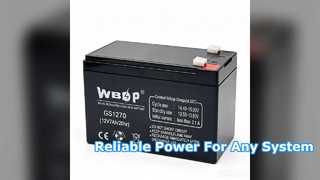 Reliable VRLA Battery For UPS and Security Systems